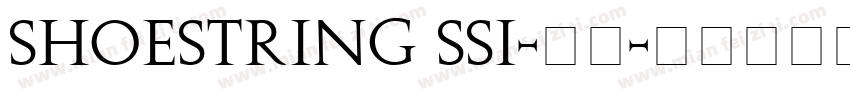 Shoestring SSi-常规字体转换